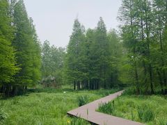 -溱湖国家湿地公园