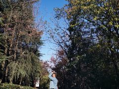 -穹窿山景区