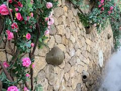 -博山九龙峪风景区