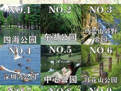 -四海公园(南山区)