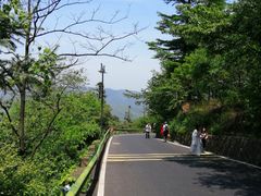 -莫干山风景区