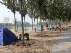 -东郊湿地公园