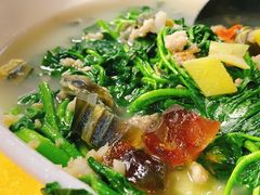 -鸽王世家(东华东路店)