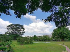 -风云岭森林公园