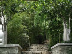 -竹子庵公园
