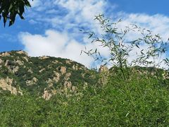 -招虎山国家森林公园-售票处