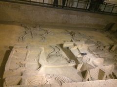 -洛阳周王城天子驾六博物馆