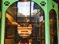 -猫咪博物馆(顶澳仔猫街店)