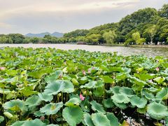-杭州香格里拉·香宫中餐厅