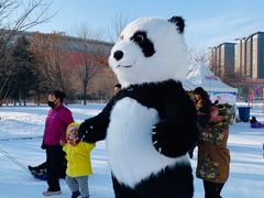 -沈阳奥体冰雪嘉年华