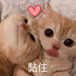 -北京英煌医疗美容