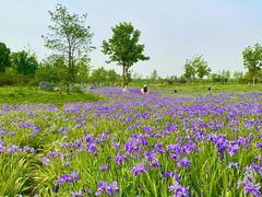 -汉长安城未央宫国家考古遗址公园