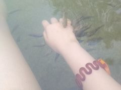 -三江森林温泉度假区
