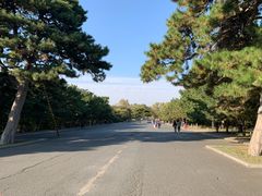-北陵公园