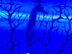 -华夏文旅西安度假区