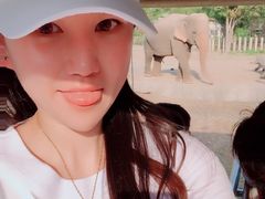 -清迈夜间动物园