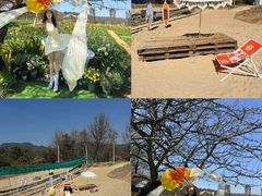 -名花谷生态庄园