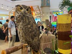 -尚泰清迈机场购物中心