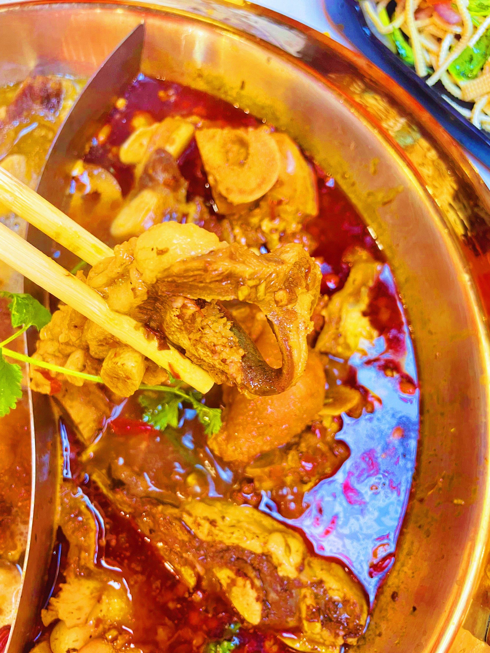 牛骨头火锅 美味无比 独具特色