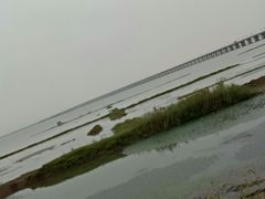 -滆湖低碳生态公园
