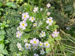 -国家植物园南园