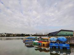 -上海长兴岛郊野公园