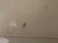 -北京国贸大酒店