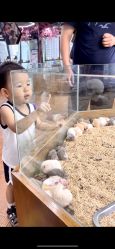 -未来动物城主题公园(正弘城店)