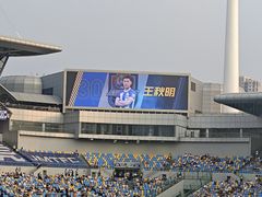 -泰达足球场