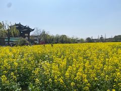 -广富林郊野公园