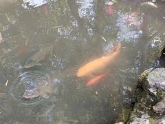-杭州黄龙洞