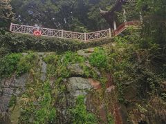 -莫干山风景区