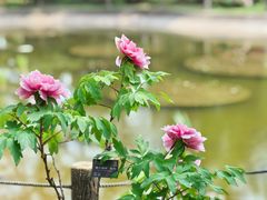 -国家植物园南园