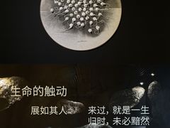 -成都许燎源现代设计艺术博物馆