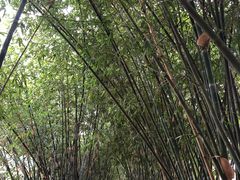 -福建鲤鱼洲酒店