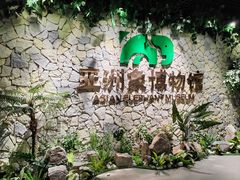 -野象谷景区
