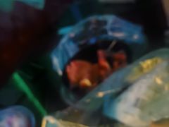 -五月花(朝阳南大街店)