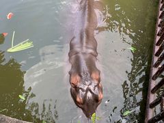 -海南热带野生动植物园