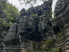 -梭布垭石林景区