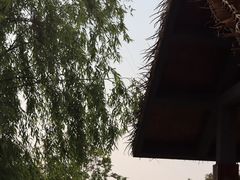 -东钱湖旅游度假区