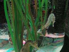 -沈阳海洋探索中心