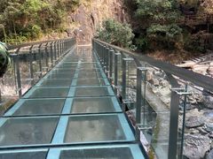 -花岩国家森林公园