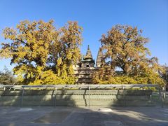 -北京石刻艺术博物馆(五塔寺)