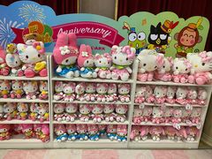 -安吉Hello Kitty乐园