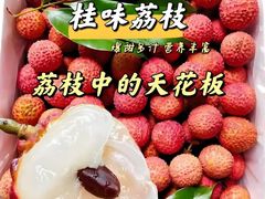 -从化深英荔枝黄皮龙眼采摘园