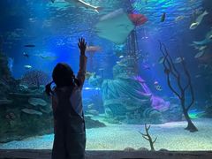 -沈阳海洋探索中心