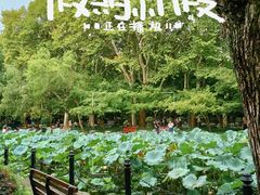 景点-鲁迅公园