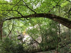 -道教老君洞