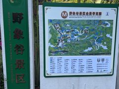 -野象谷景区
