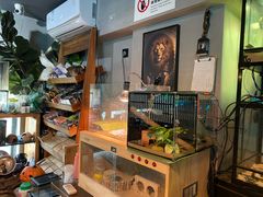 -抱暴龙爬宠·异宠·撸宠撸爬主题馆(大学路店)